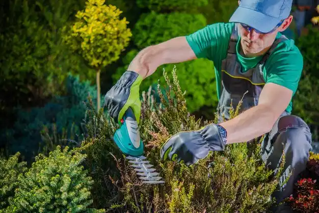 landscaping services Otterville